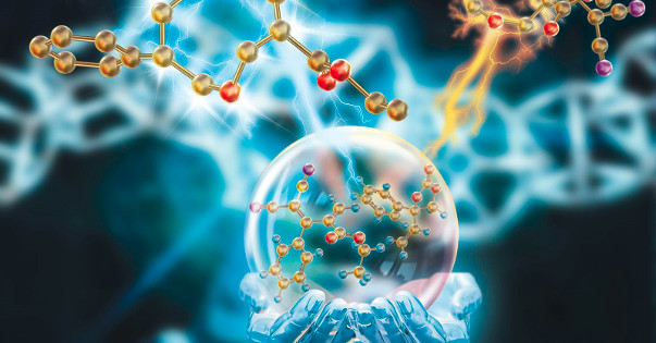 The BEST Nutritionals! The BEST Nutritionals!